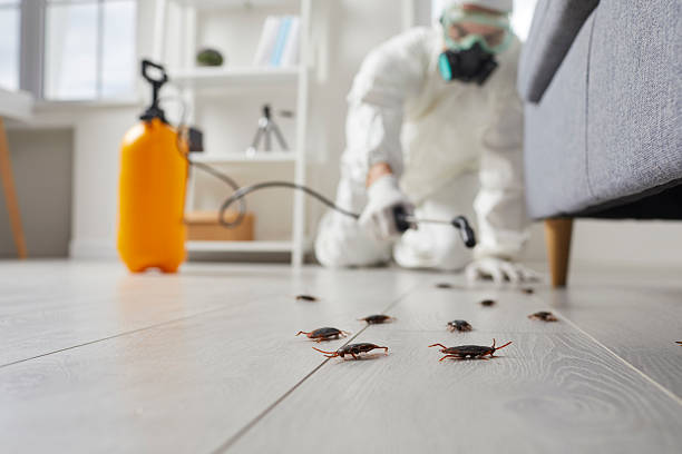 Commercial Kitchen Cockroach Control in Forked River